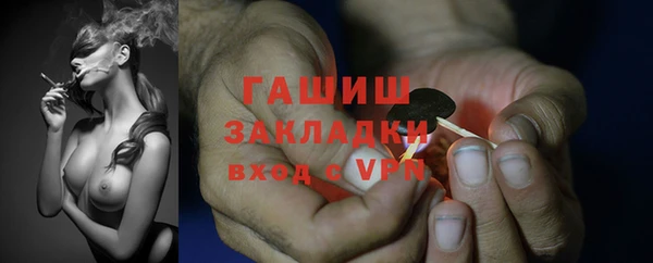 мяу мяу мука Баксан