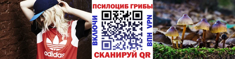Псилоцибиновые грибы мицелий  Гагарин 